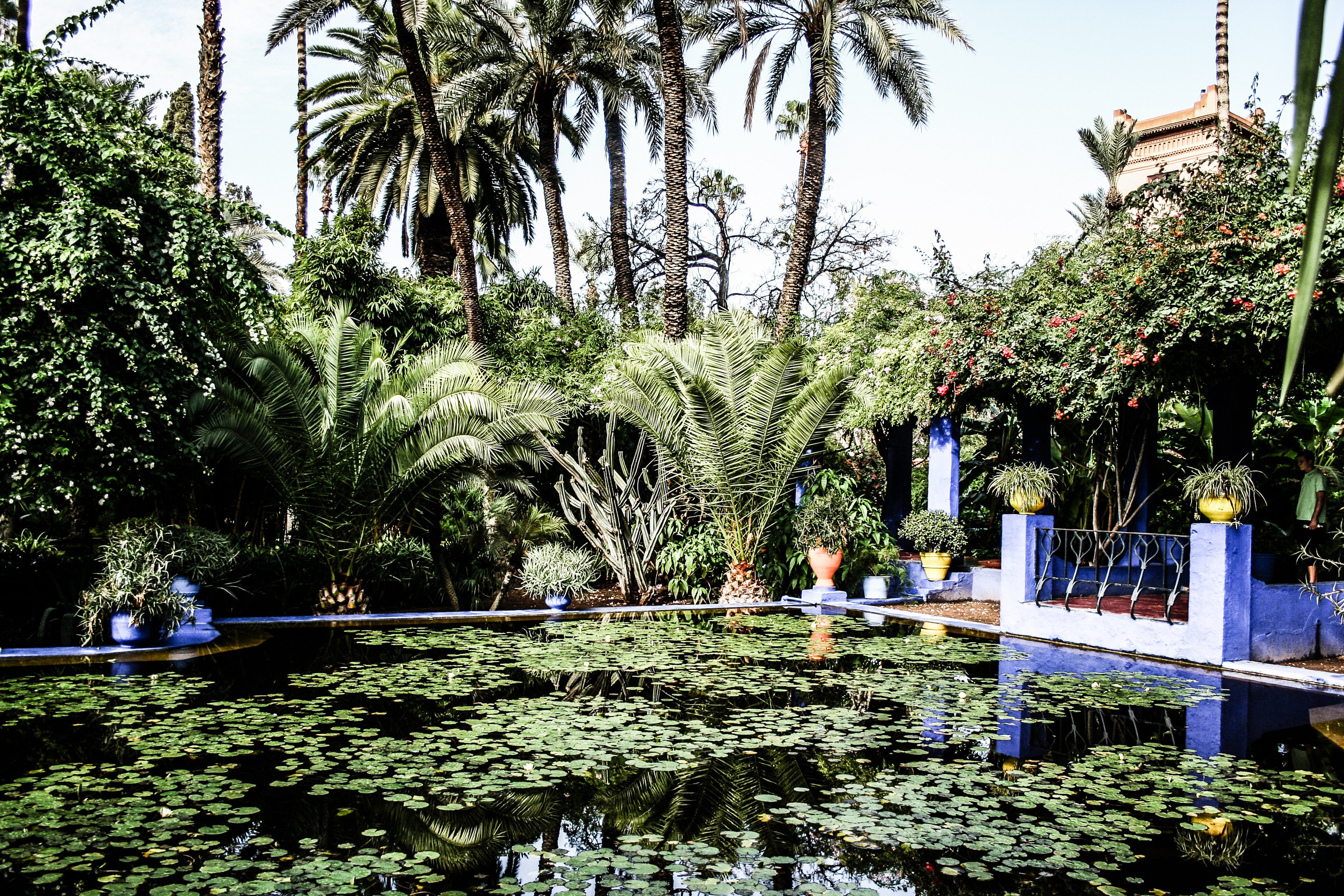 Marrakech: A Vibrant Centre of Culture