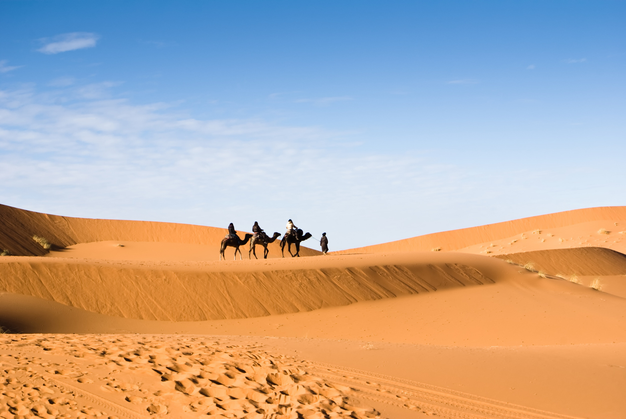 Morocco eVisa for Angola Citizens Morocco eVisa for Angola Citizens