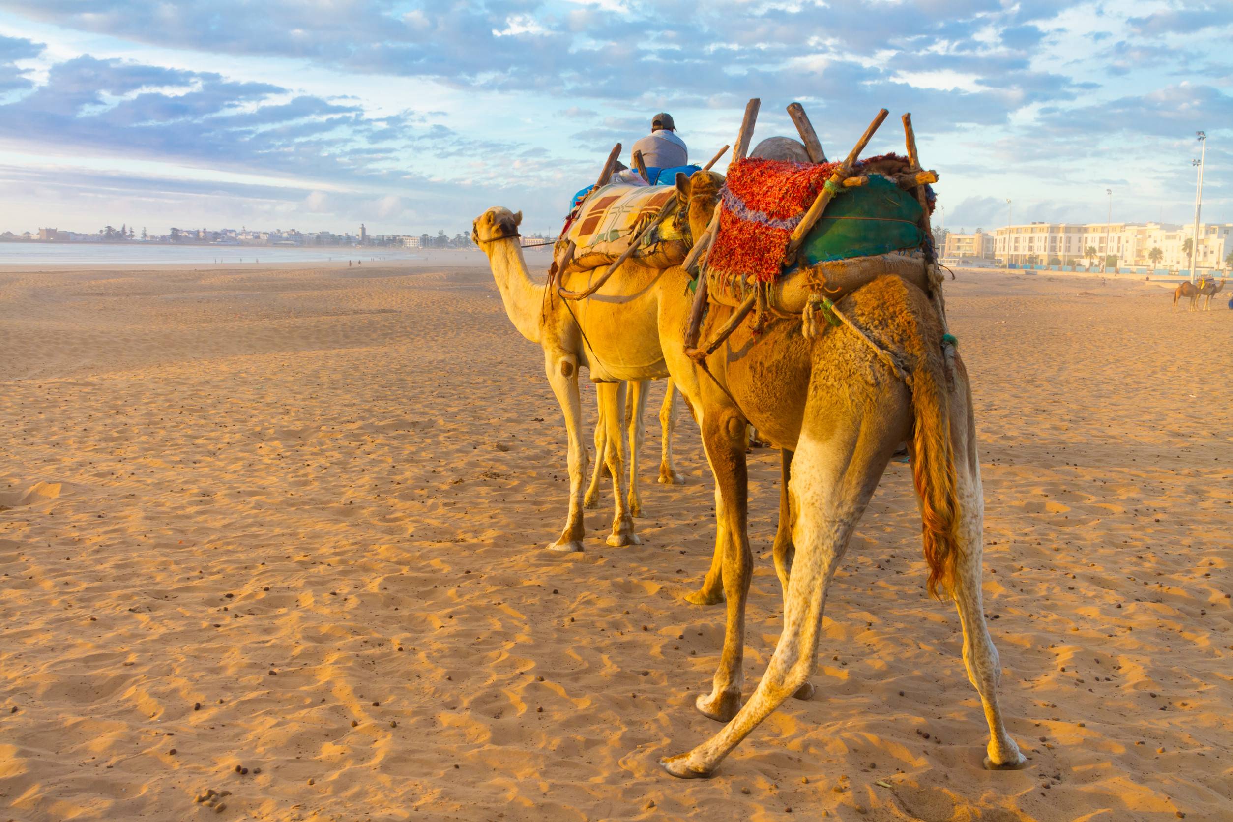 Morocco Evisa For Mauritius Citizens Morocco Evisa For Mauritius Citizens